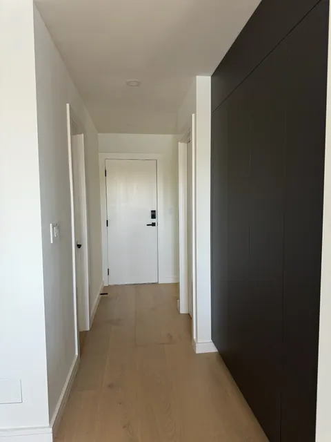 Entry hallway with light plank flooring